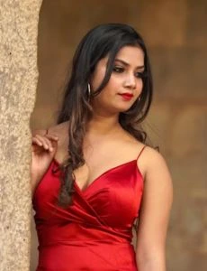 call girl service in Vadgam